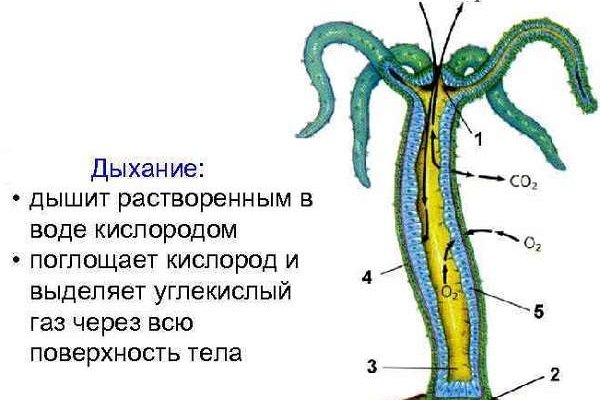Kra34at