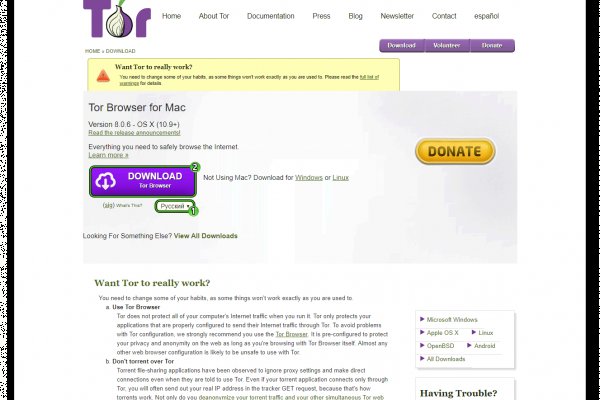 Kraken tor onion