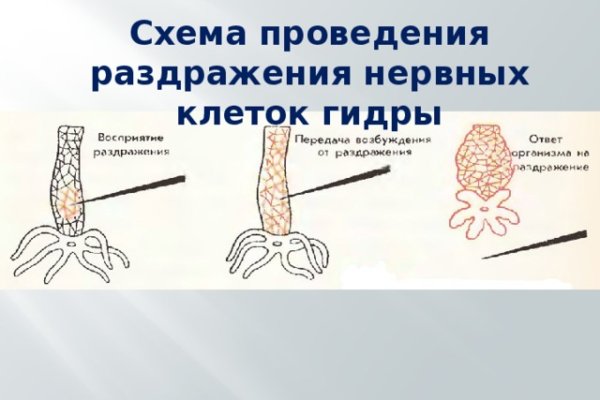 Как зарегаться в кракен