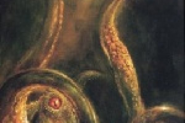 Kraken дарк магазин