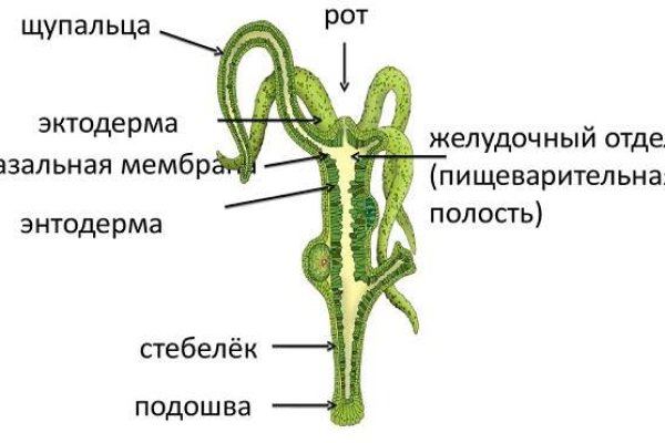 Кракен действующая ссылка