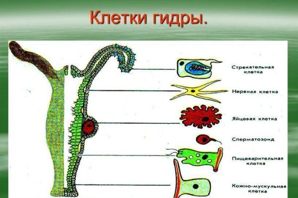 Как зарегистрироваться на кракене