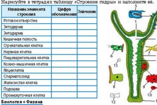 Впн для кракена